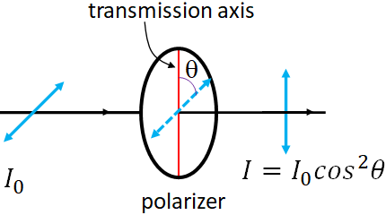 polarized light through a polarizer
