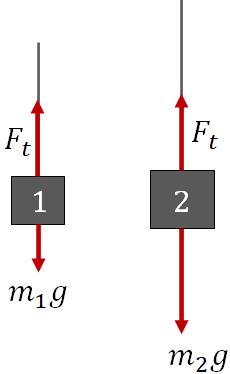 hanging masses over a pulley free body diagram