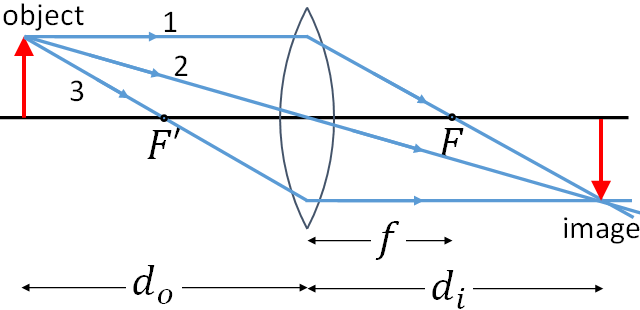 convex lens image formation